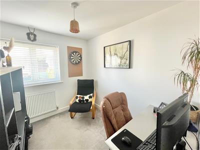 Picture 13
